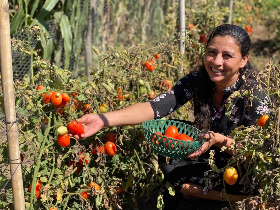 El Salvador: las mujeres que con ciencia comunitaria se protegen de inundaciones y sequías agroecología