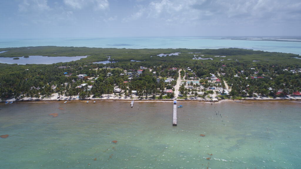 El rugido del mar: bioacústica comunitaria para entender cómo el cambio climático afecta al mero del Caribe en México cobi (1)
