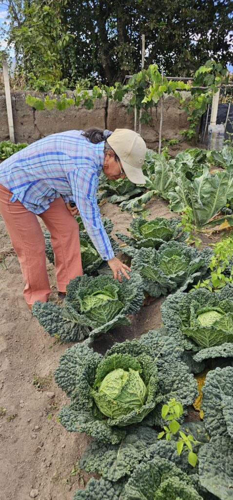 De la sabiduría lunar al Whatsapp: la información climática que salvó las cosechas de los agricultores ecuatorianos gladys flores