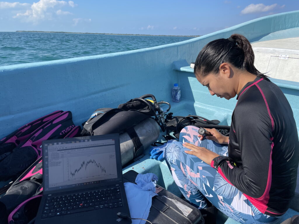 El rugido del mar: bioacústica comunitaria para entender cómo el cambio climático afecta al mero del Caribe en México omar rivera cobi
