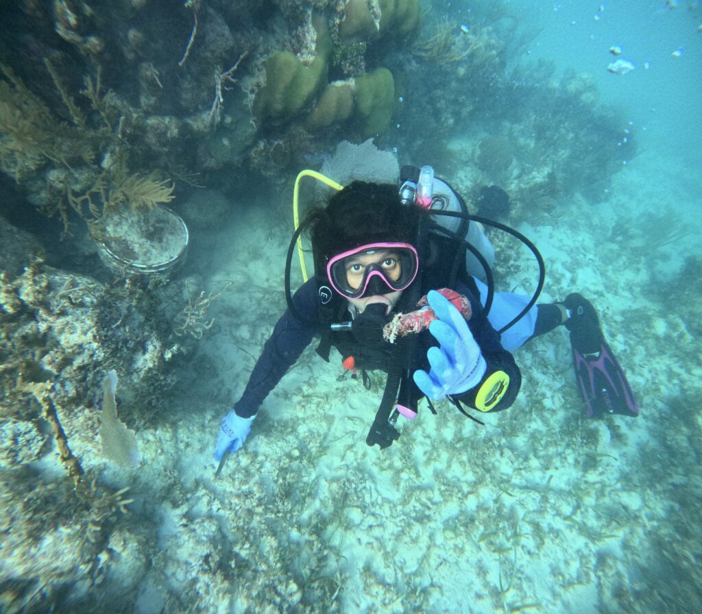 El rugido del mar: bioacústica comunitaria para entender cómo el cambio climático afecta al mero del Caribe en México dcim100goprogopr0509.jpg