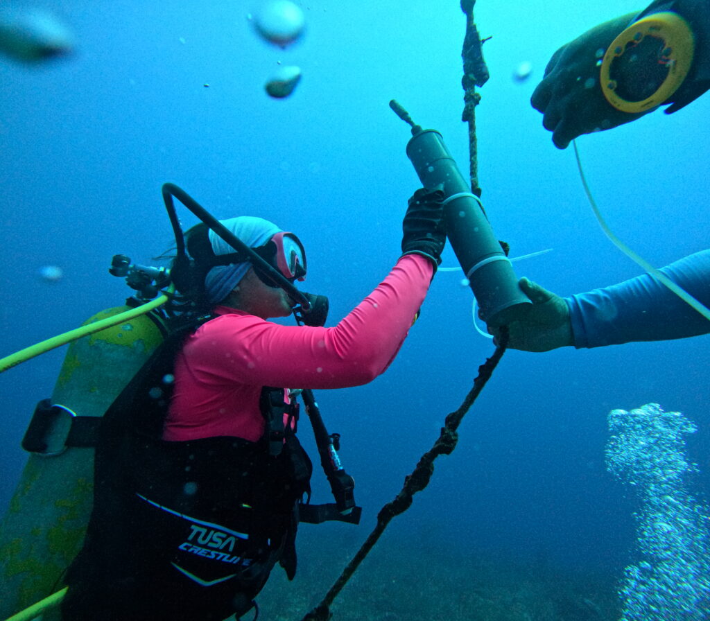 El rugido del mar: bioacústica comunitaria para entender cómo el cambio climático afecta al mero del Caribe en México dcim100goprogopr0676.jpg