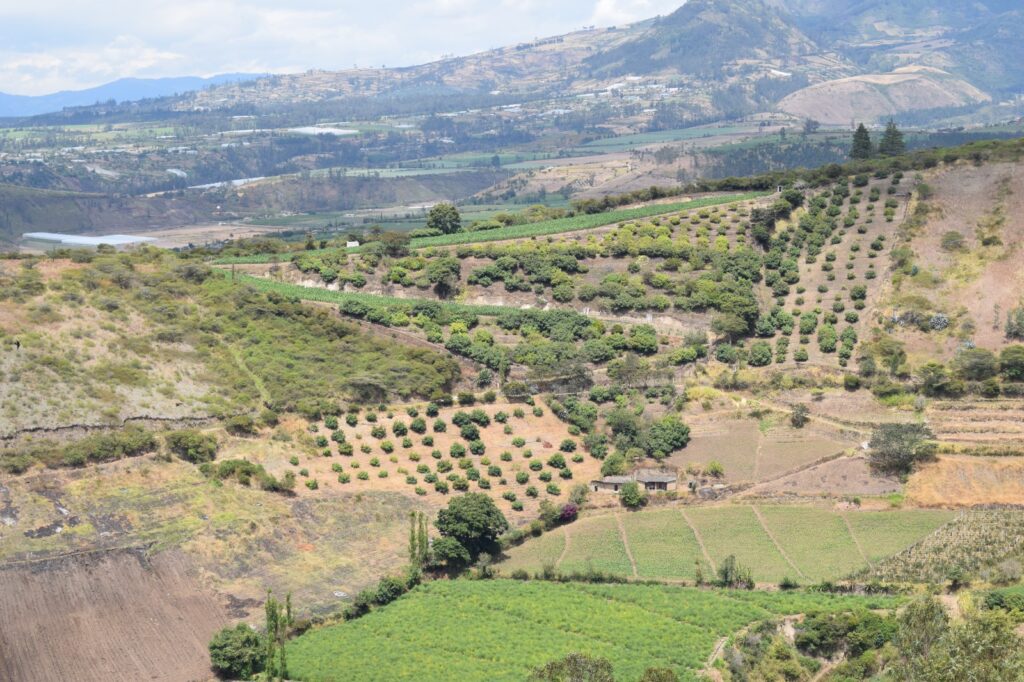 De la sabiduría lunar al Whatsapp: la información climática que salvó las cosechas de los agricultores ecuatorianos panoramica san blas