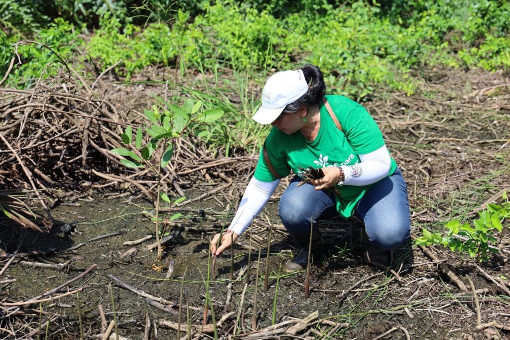 El Salvador: las mujeres que con ciencia comunitaria se protegen de inundaciones y sequías photo 2026 05 18 11 47 57