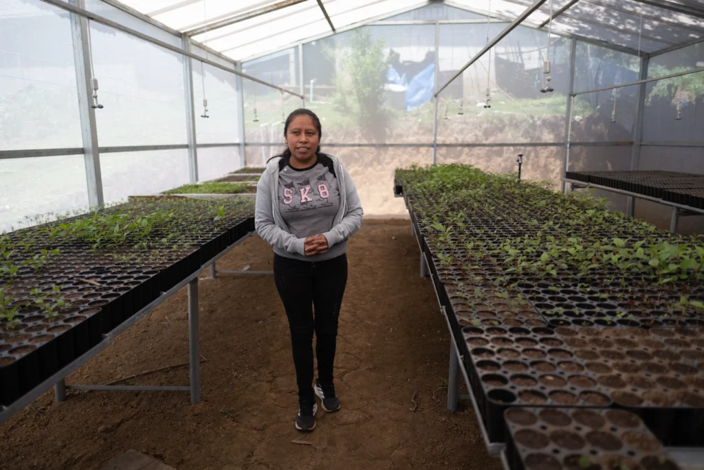 Promotores climáticos: los jóvenes k´iche´ que interpretan el clima y salvan cultivos en Guatemala san francisco el alto totonicapán 01