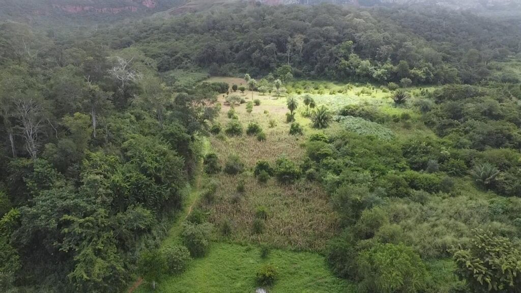 Aprender a leer el cielo: cómo Peniel usa la ciencia comunitaria para proteger el bosque chiquitano de Bolivia image