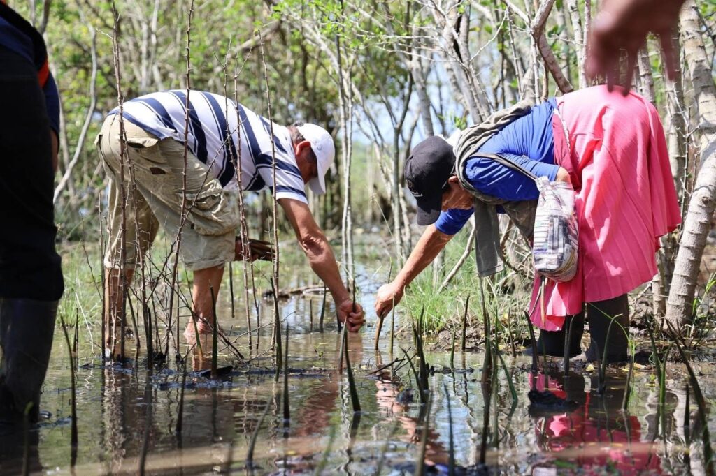 El Salvador: las mujeres que con ciencia comunitaria se protegen de inundaciones y sequías manglares
